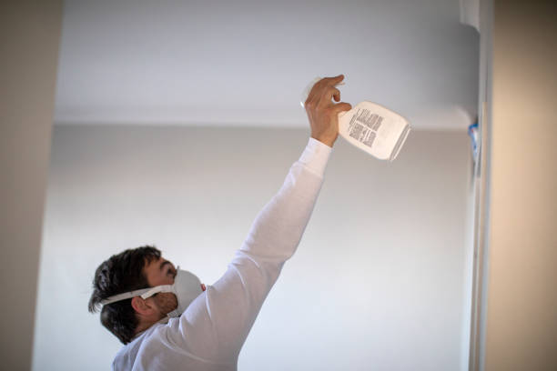 Best Best Mold Removal Companies  in Loomis, CA