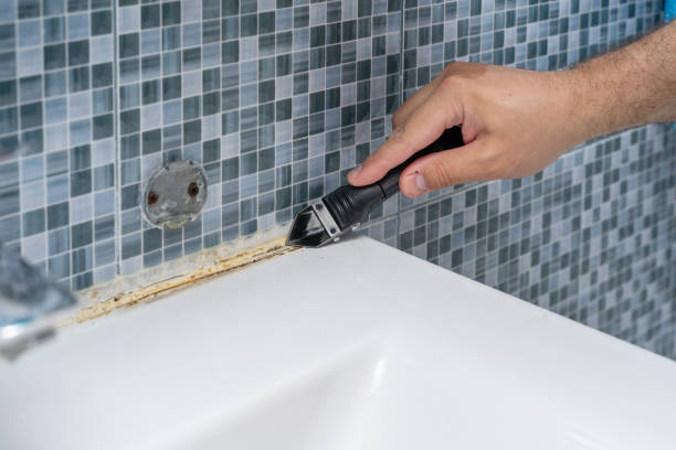 Best Black Mold Removal  in Loomis, CA