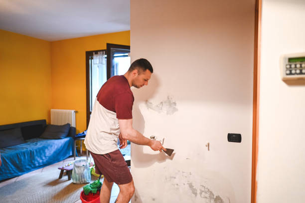 Best Home Mold Removal  in Loomis, CA