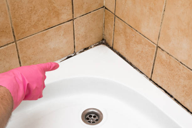Best Local Mold Removal Service  in Loomis, CA